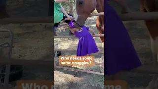 Toddler girl receiving snuggles from horse!