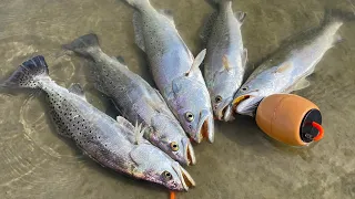 speckled trout fishing (Galveston, Texas)