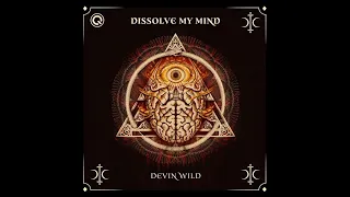 Devin Wild - Dessolve My Mind (Extended Mix)