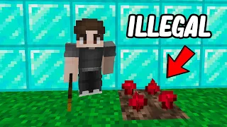 I Started An Illegal Business on This Minecraft SMP...