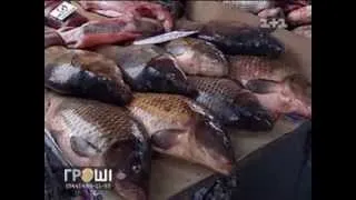 Прокуроры вместе с браконьерами кормят Киев рыбой из Чернобыля