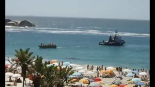 Clifton 4th whale carcass pulled out to sea on live webcam