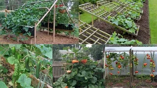 Creative Trellis ideas for summer vegetables garden ||DIY garden ideas