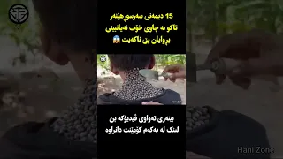 15دیمەنی سەرسوڕهێنەرتاکو بە چاوی خۆت نەیانبینی بڕوایان پێ ناکەیت😱