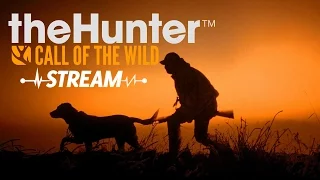 🔴 theHunter Call of the Wild  🔴