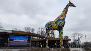 Зоопарк в Киеве весной. 16.03.2024