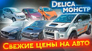 !!!СВЕЖИЕ ЦЕНЫ НА АВТО. МОНСТР DELICA D:5 +РОЗЫГРЫШ 💰