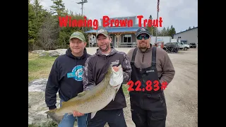 Baileys Harbor Brown Trout Fishing Tournament (Big Brown) 2019 NFN Fishing Adventure Monster Brown