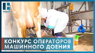 В Тамбовской области выбрали лучшего оператора машинного доения коров
