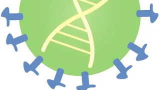 COVID-19 Testing Process