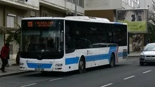 Vimeca/Lisboa Transportes