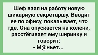 Что Знает и Умеет Новая Секретарша! Сборник Свежих Смешных Жизненных Анекдотов!