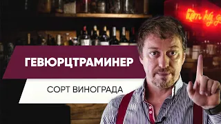 Гевюрцтраминер. История. Аромат. Вкус. Гастрономические сочетания.