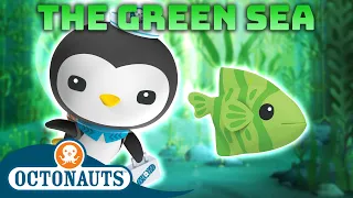 ​@Octonauts - The Green Sea 🌱 | 70 Mins+ | Cartoons for Kids | Underwater Sea Education