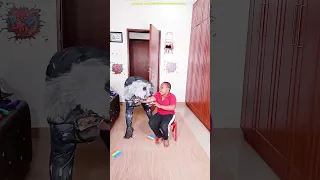 New Funny Videos 2023 😂 Funny prank try not to laugh werewolf Scary GHOST PRANK TikTok Comedy