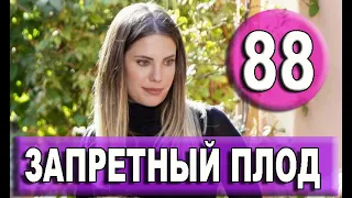 ЗАПРЕТНЫЙ ПЛОД 88 СЕРИЯ РУССКАЯ ОЗВУЧКА (4 сезон)