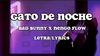 Gato de Noche - Bad bunny X Ñengo flow - letra/lyrics