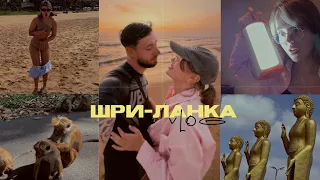 ШРИ-ЛАНКА vlog | наш обычный отдых: Александр Маршал, обезьяны, ящерицы, вараны