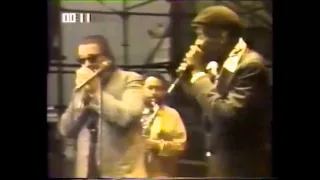 Charlie Musselwhite & Big Walter Horton. Chicago Fest 1981