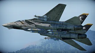F-14B | The cat is stacking bones ☠️