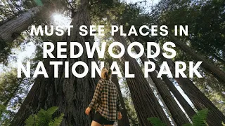 MUST SEE Places in Redwoods National Park California