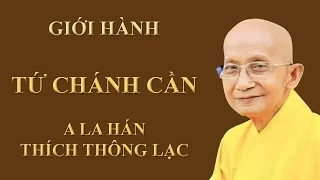 GIỚI HÀNH TỨ CHÁNH CẦN - A LA HÁN THÍCH THÔNG LẠC