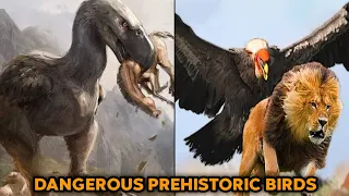 Top 10 DEADLIEST Prehistoric Birds You NEVER Knew Existed! 🤯