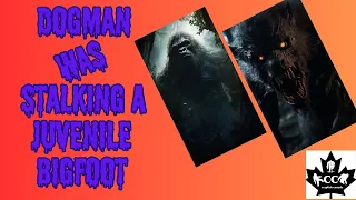 EPISODE 586 DOGMAN WAS STALKING A JUVENILE BIGFOOT