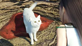 Final Fantasy 7 Rebirth - Tifa Finds Her Cat Fluffy [QUEST]