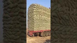 overloaded truck new short video