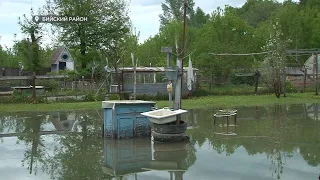 Вода затопила огороды и подполья жителей села Полеводка ("Будни", 21.05.24г., Бийское телевидение)