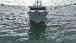 Trawler spotting