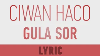 Ciwan Haco - Gula Sor (Lyric Video | Gotinên Stranê)