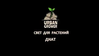 УРБАН ГРОВЕР УРОК 11 - ДНАТ - СВЕТ ДЛЯ РАСТЕНИЙ