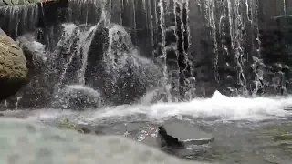 The sound of the babbling brook, Beautiful water sounds for sleeping and relaxation