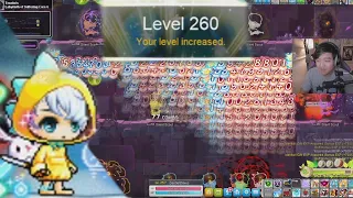 The Gentle level up to 260 | Maplestory Shadower