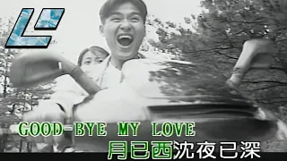 Weird Ass Karaoke video (Teresa teng - good bye my love-(再見我的愛人)