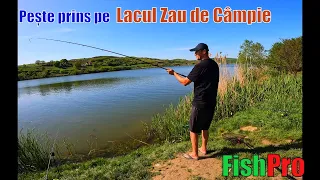 Pescuit reușit la CARAS pe Lacul Zau de Câmpie Mureș în 30 Aprilie 2024 #pescuit2024 #feeder