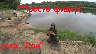 "Просто фидер". река "Дон", село "Николаевка"