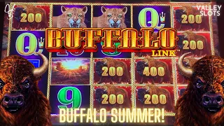 Looking for Big Numbers in The Hold and Spin Bonus on Buffalo Link Slot Machine.