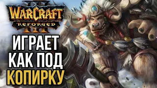 ВСЕ ХУМЫ ИГРАЮТ КАК ПОД КОПИРКУ в Warcraft 3 Reforged