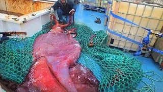 10 Rare Deep Sea Catches