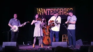 Whiskey Deaf Bluegrass Band - Wintergrass 2024