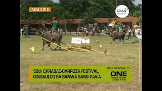 One Western Visayas: 50th Carabao-Carroza Festival, Ginsaulog sa banwa sang Pavia