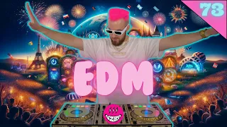 EDM Mix 2024 | #73 | DJ WZRD, Deorro, Will Sparks, SCNDL, Reece Low | Best of EDM 2024 by DJ WZRD