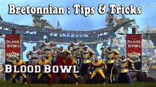 Bretonnian Coaching : Starting Lineup, Tips & Tricks [Blood Bowl 2]