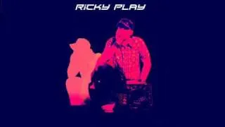 Audio Bullys - we dont care (ricky play remix)