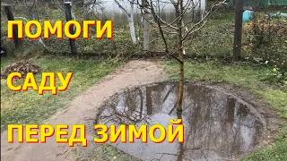 Подзимний влагозарядковый полив - для лучшей перезимовки деревьев и кустарников