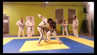 JU JITSU PISA - WJJF PMA PISA