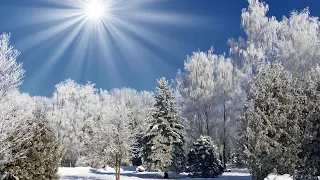 (С текстом) Праздник старый как жизнь и как мир. Новогодняя песня на новый год. МСЦ ЕХБ